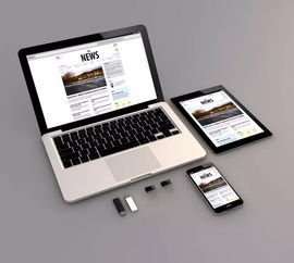 承德網(wǎng)站建設(shè) 為何必須選擇專業(yè)的軟硬件與網(wǎng)絡(luò)技術(shù)開發(fā)公司